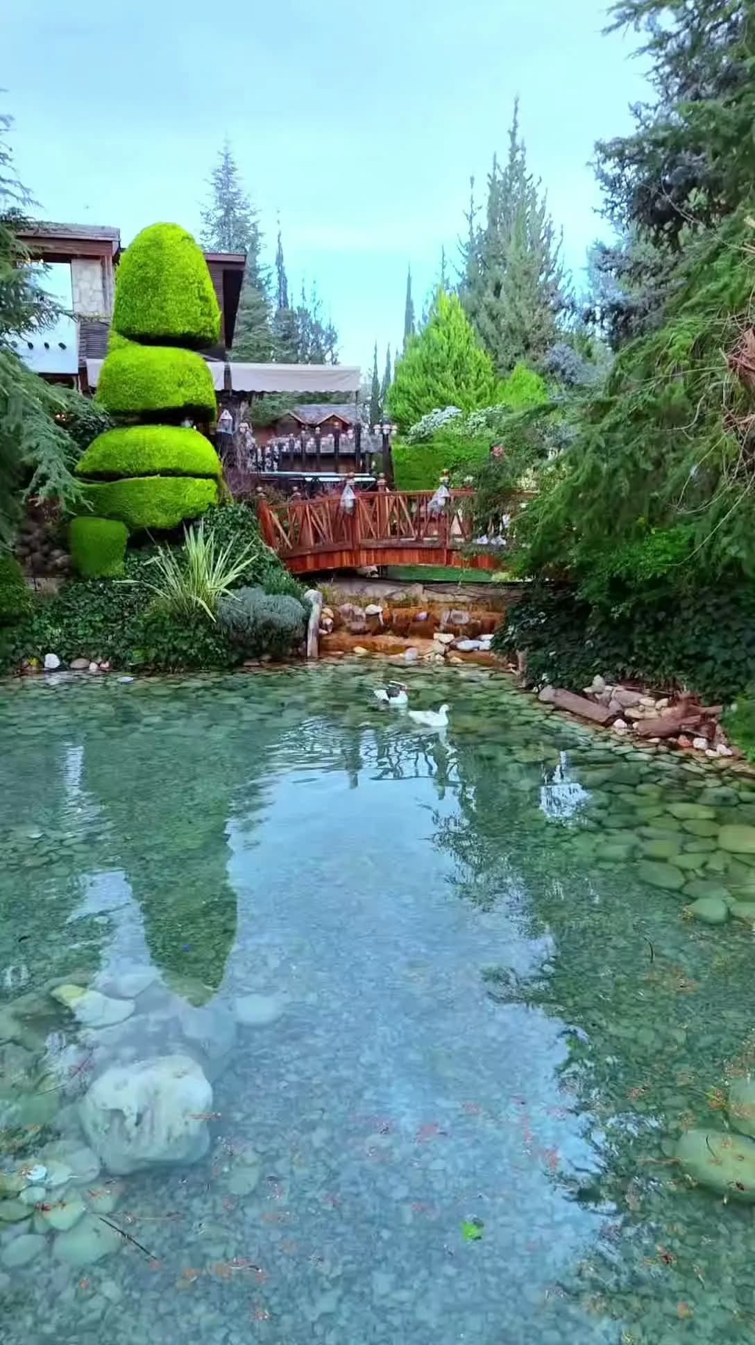 البيت السويسري