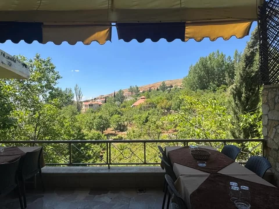 النزيه
