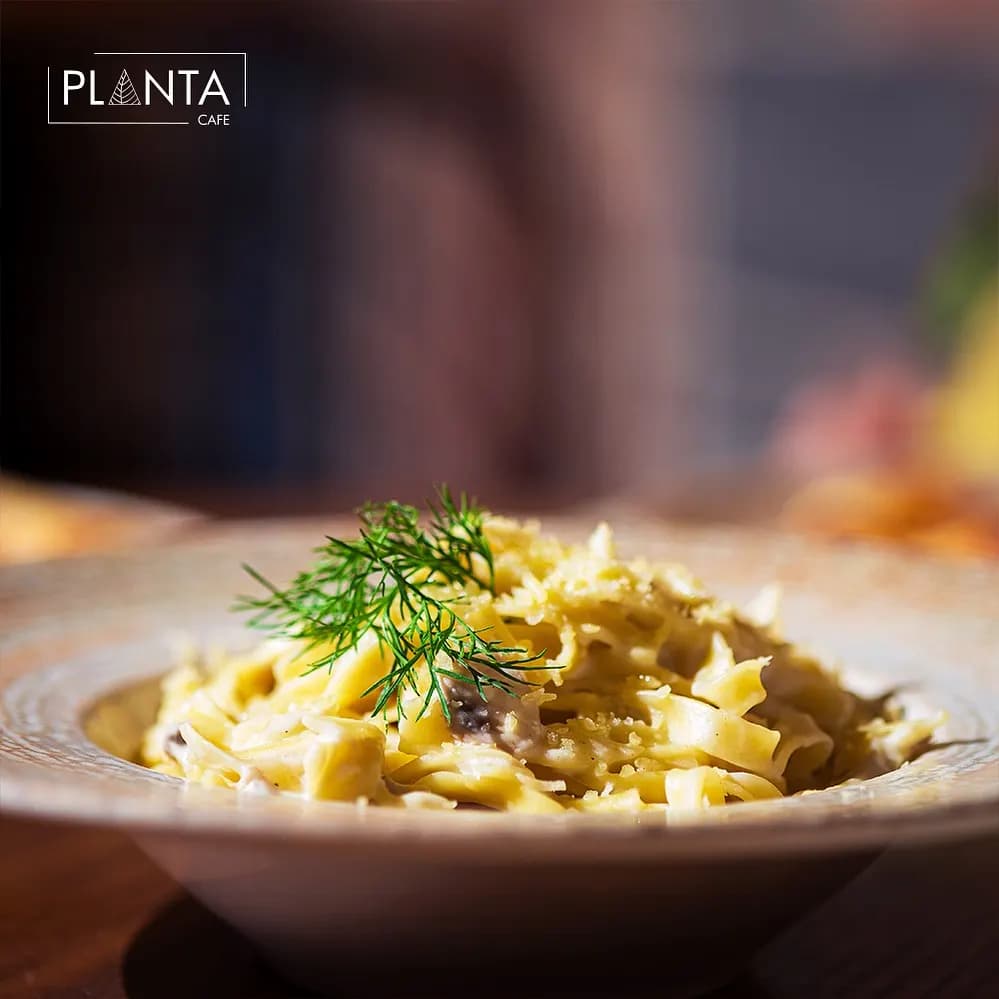 PLANTA IVEY RESTO CAFE