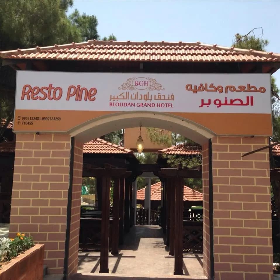 الصنوبر