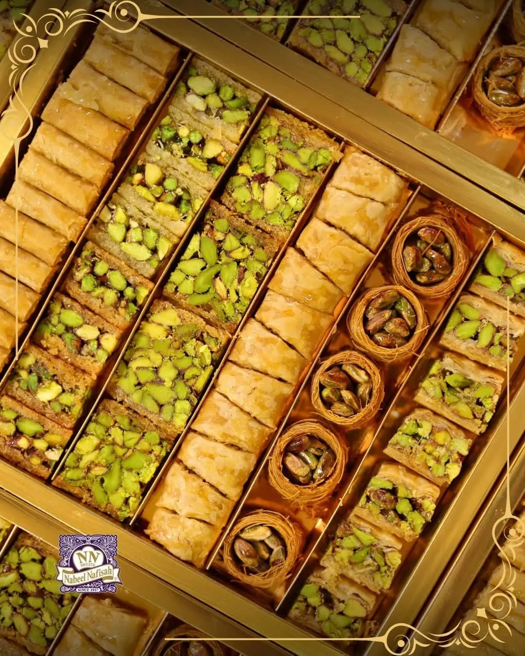 نبيل نفيسة - الصالحية