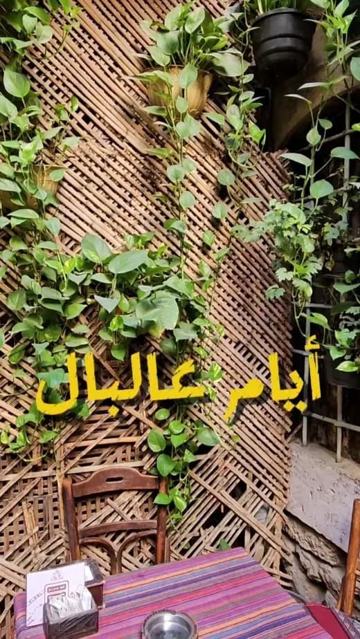 عالبال