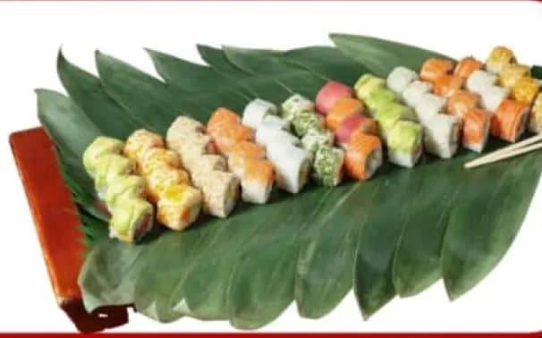 Tayo Professional Set - 48 pcs